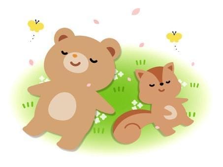 ゆみ