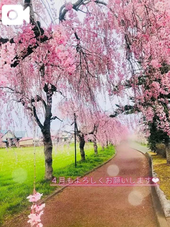 「弥生から卯月へ」04/02(木) 19:51 | 藤枝 香澄の写メ日記