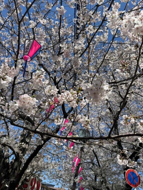 「♡♡good night…✴︎」04/03(金) 21:39 | あまみの写メ