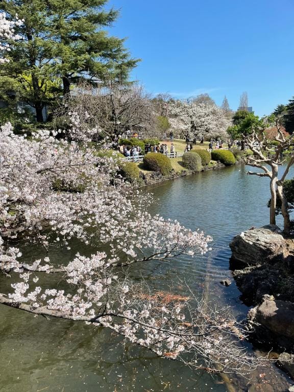 高岡 あや