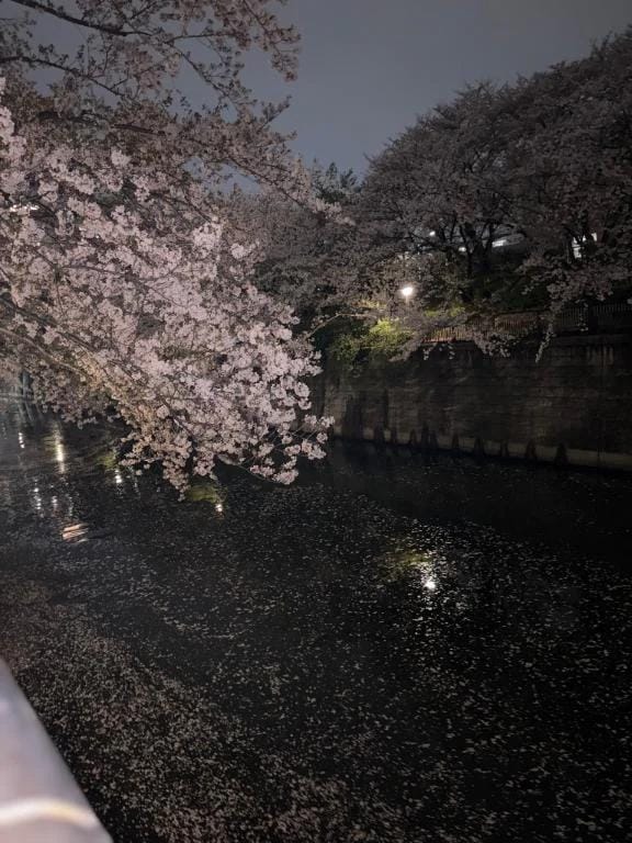 「価格改定のお知らせ‍♀️」04/05(日) 22:37 | 美月 紗英の写メ日記