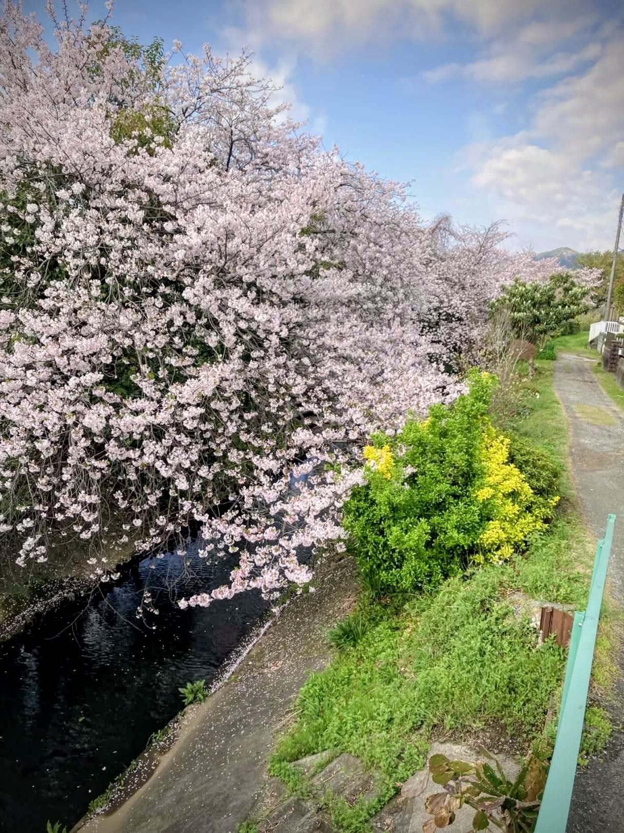 「楽しすぎたー！」04/06(月) 14:22 | こはるの写メ日記