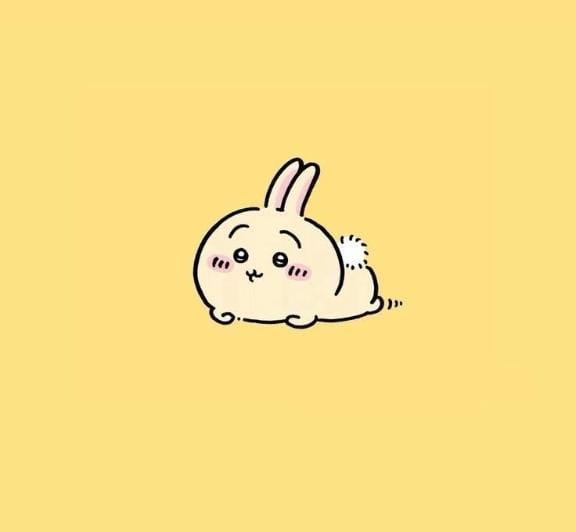 kawaii（イエスグループ熊本）