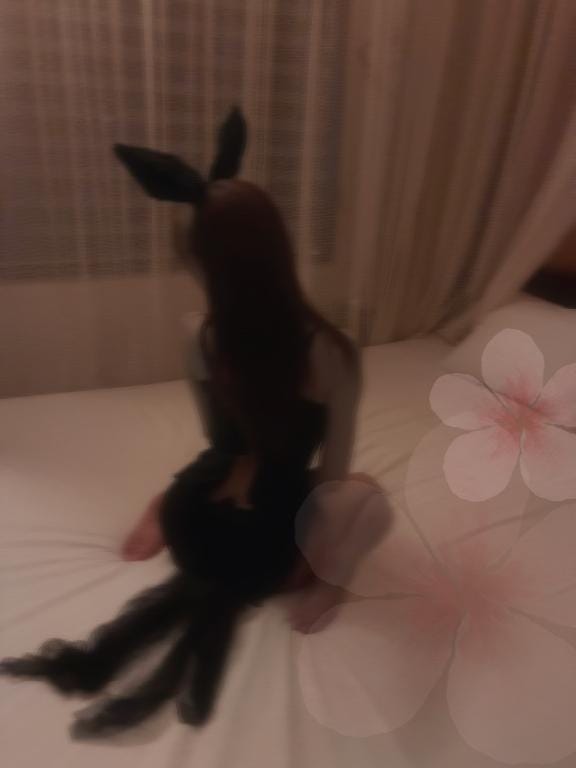 みさき