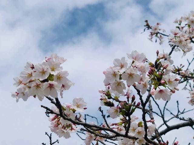 「｡❀ 」04/07(火) 19:03 | なつの写メ日記