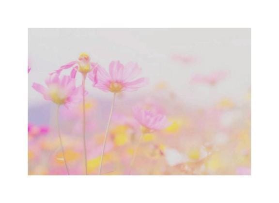 「出勤します^^♡」04/08(水) 19:02 | なつきの写メ