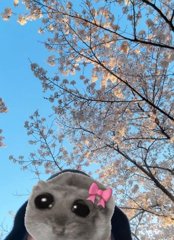 「こんにちわ」04/09(木) 01:09 | エムの写メ日記