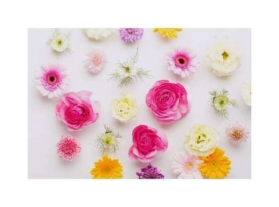 「出勤連絡です^^♡」04/10(金) 15:31 | なつきの写メ