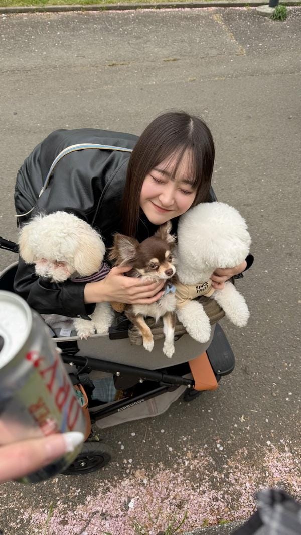 ひよこ