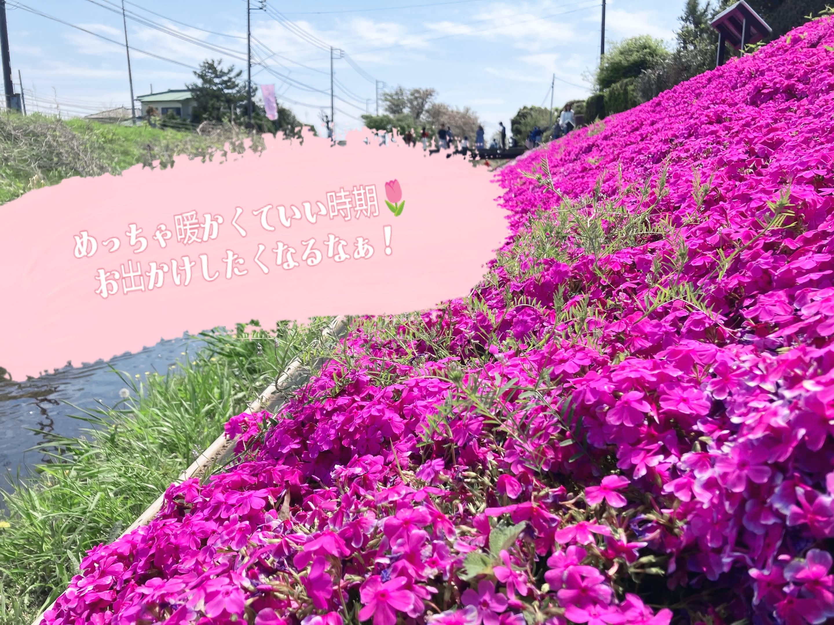 「ポカポカ」04/12(日) 15:43 | こはるの写メ日記