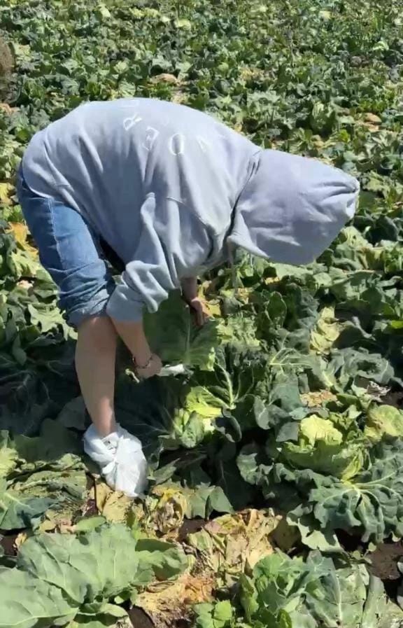 「息抜き」04/14(火) 12:08 | あみなの写メ