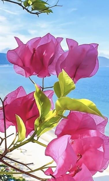 おはようございます