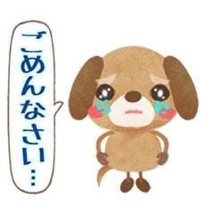ごめんなさい、、、