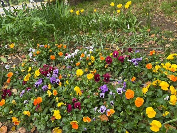 「予約満了」04/16(木) 09:32 | 星川　さなの写メ