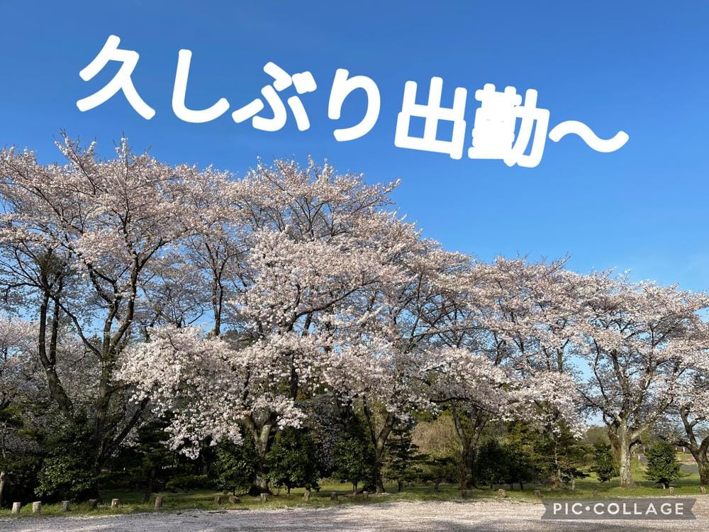 「出勤しました！」04/17(金) 15:30 | かなえの写メ