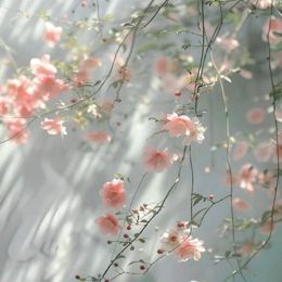 ❤︎本指名M様❤︎