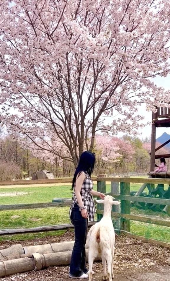 「最後の、、、」04/18(土) 19:21 | ももの写メ