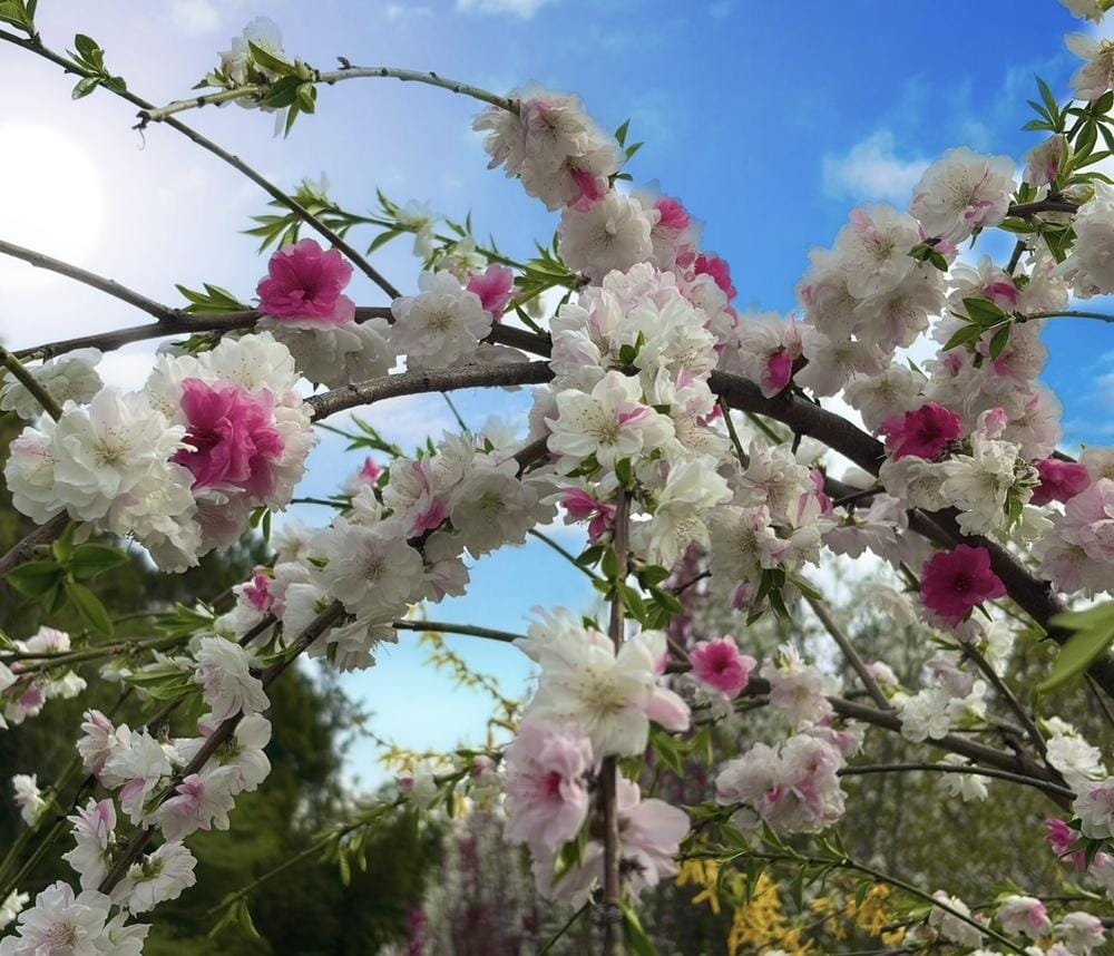 「ご新規さま 🎀」04/19(日) 11:25 | ☆ともか奥様の写メ