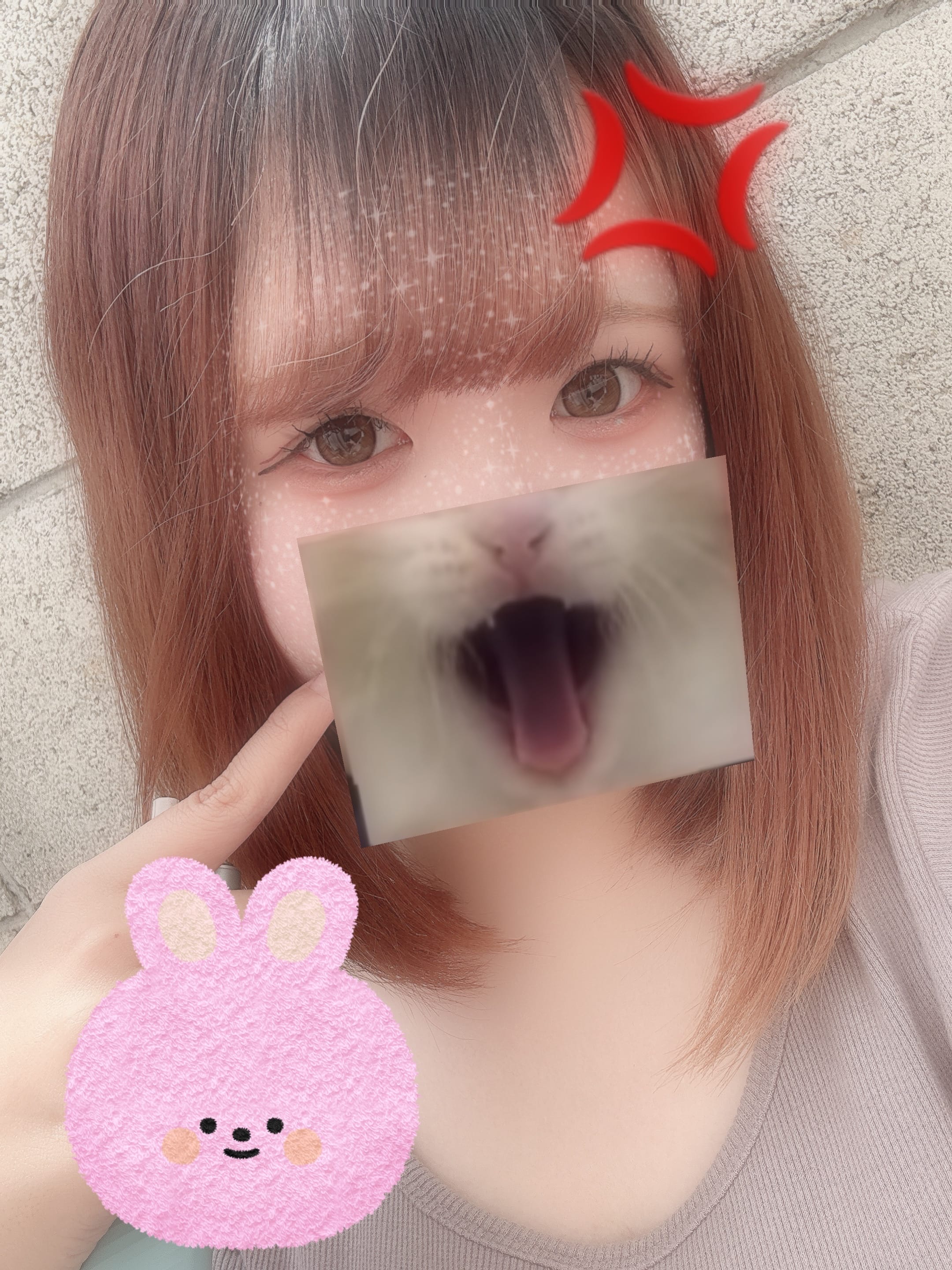 くるみ