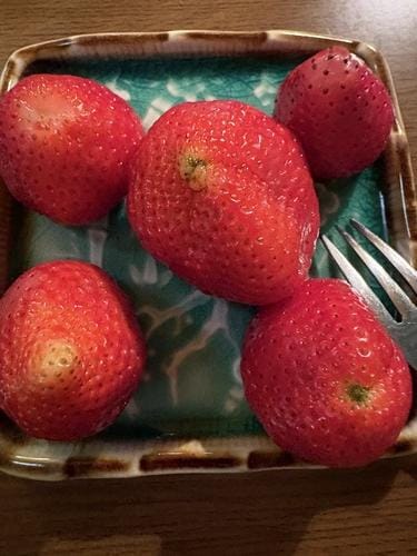 「こんにちは(*´ー｀*)」04/19(日) 13:56 | 新人ミルク【青森】の写メ