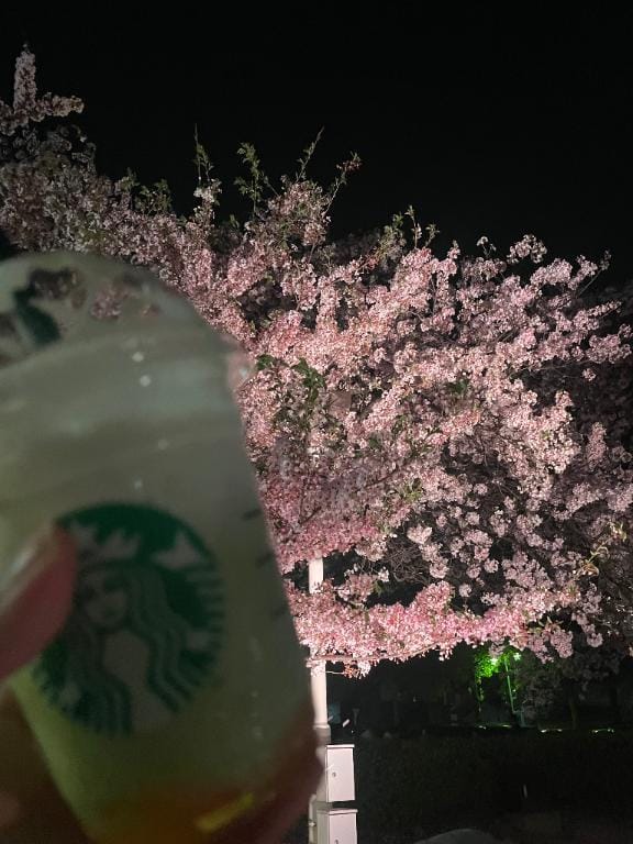 「もふもふ(っ・ω・ｃ)」04/20(月) 20:14 | あずさ♡可愛い系超敏感娘♡の写メ