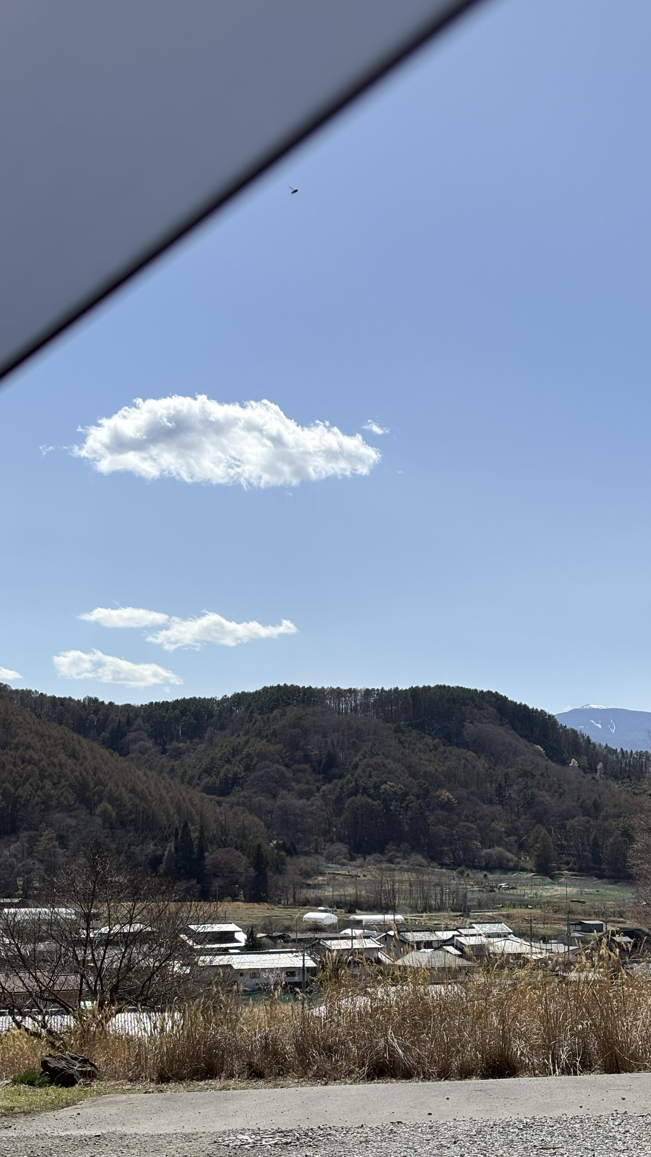 「16時〜」04/21(火) 12:12 | No.75：元宮の写メ