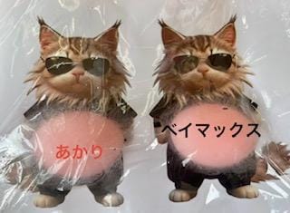 あかり