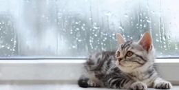 今日はゆっくり…