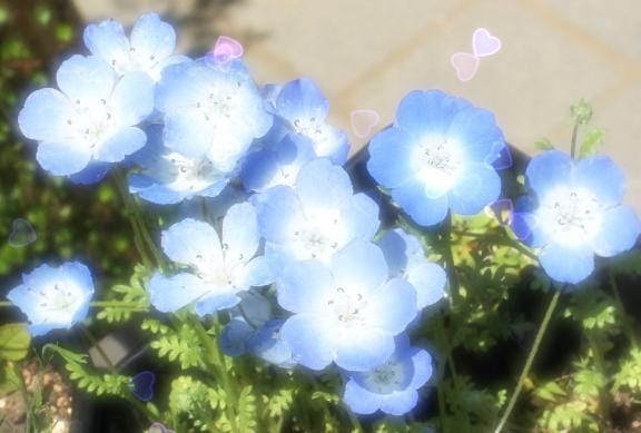きょうか