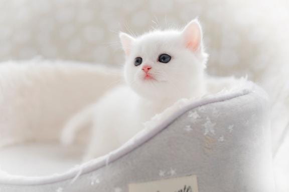 みなみ
