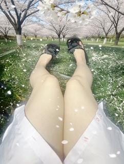 さちか