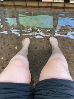 つくし