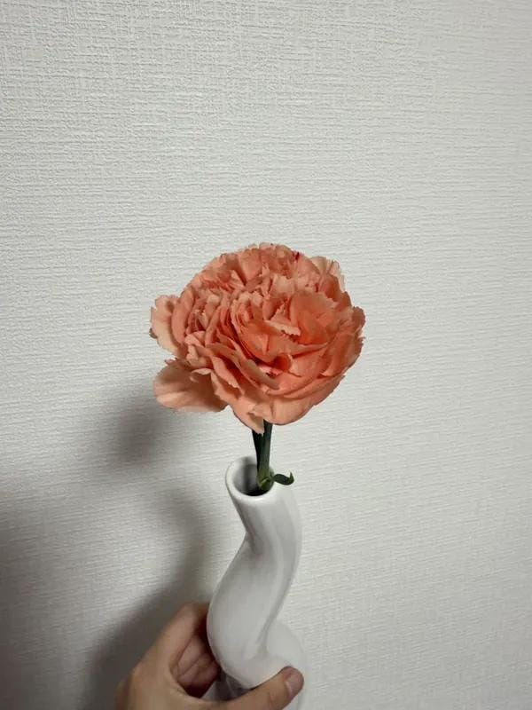 ねる