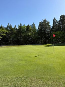 おやすみは、、、