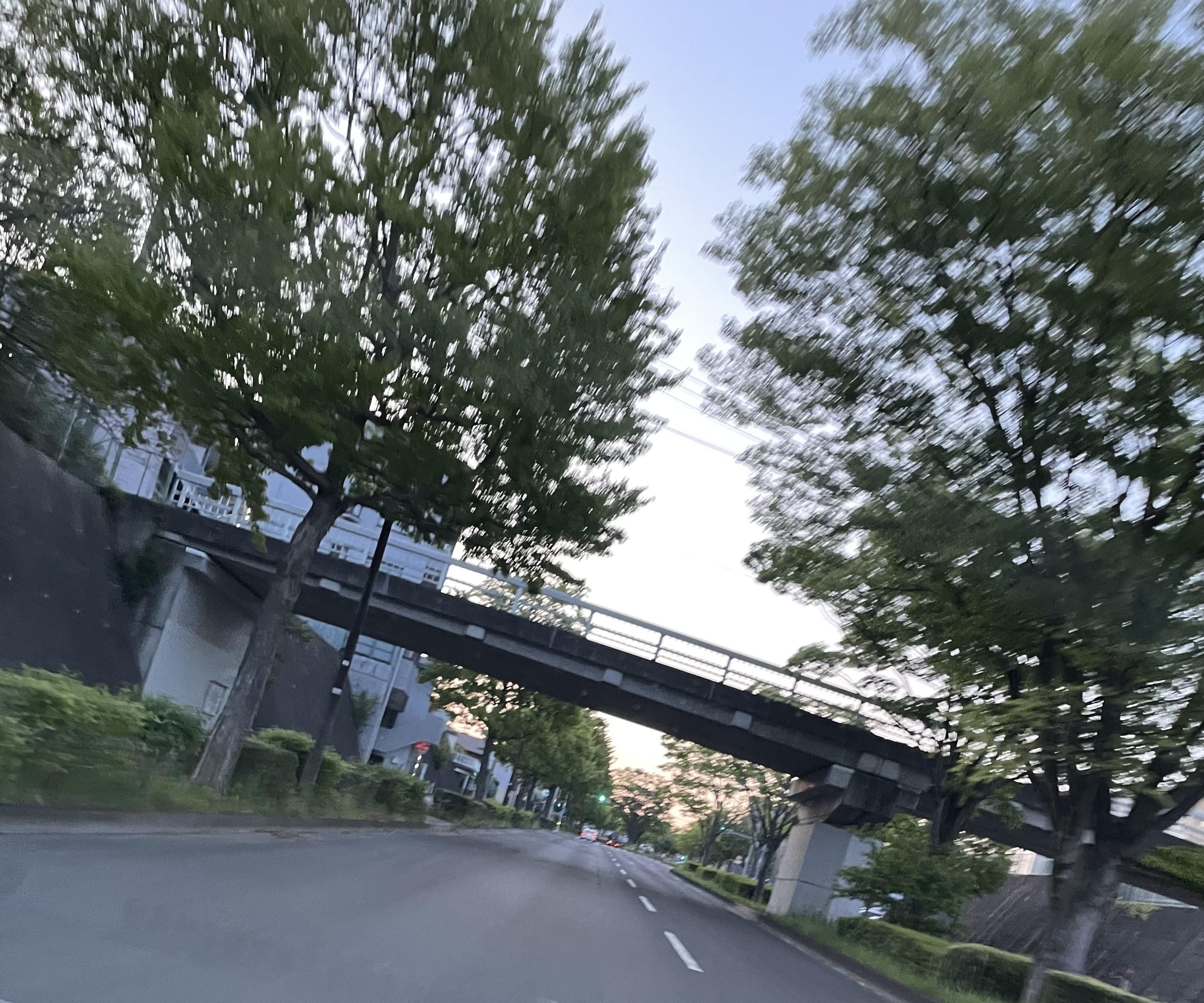 おはよう❀.(*´▽`*)❀.