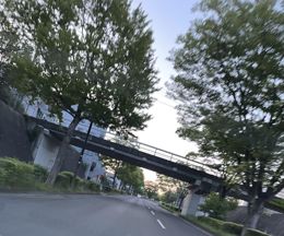 おはよう❀.(*´▽`*)❀.