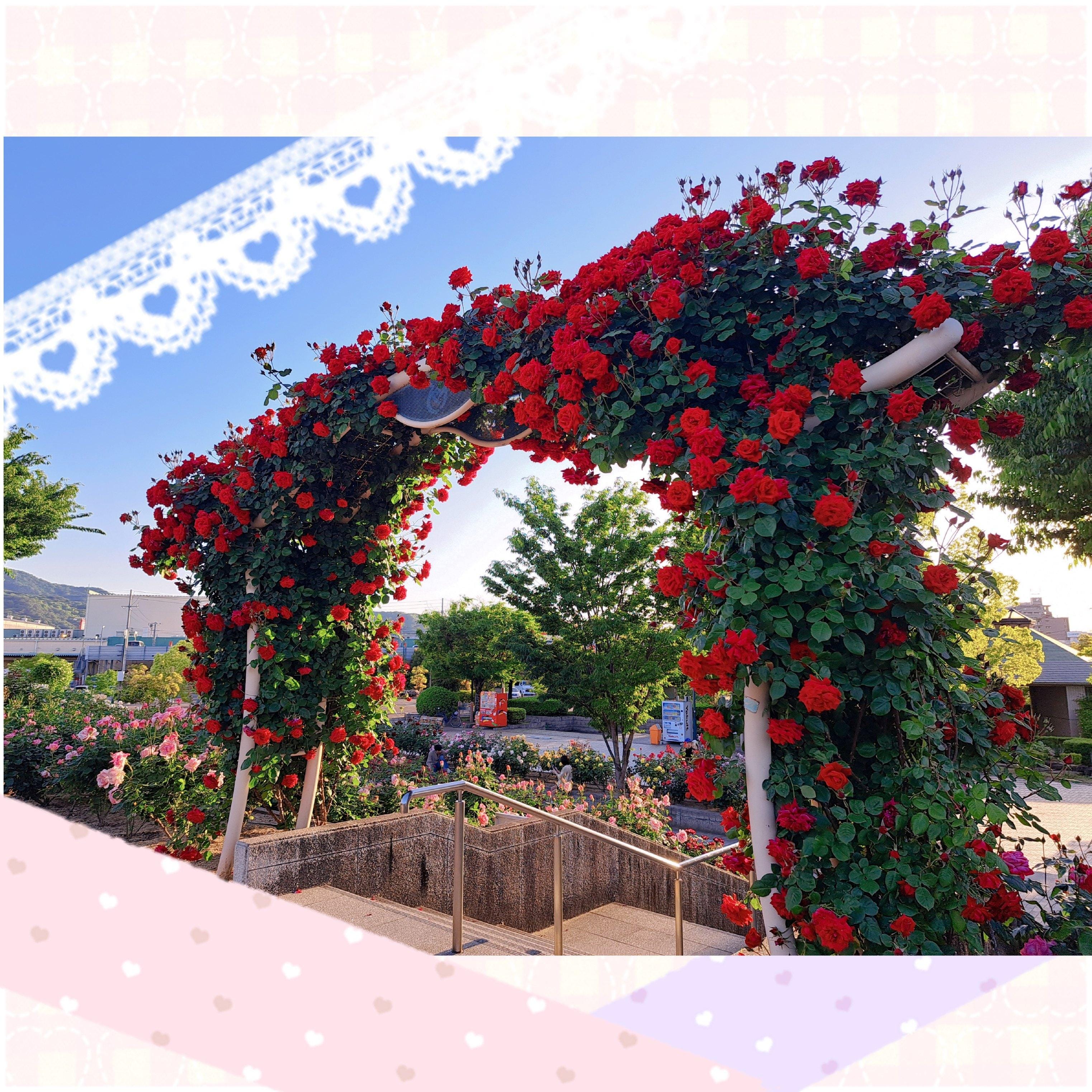 本日18時まで❤12(火)12:00-18:00