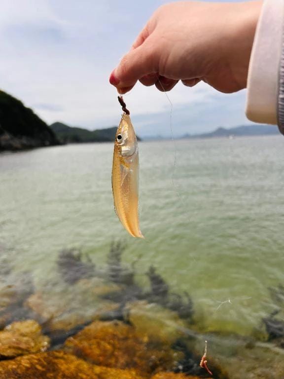 あいか