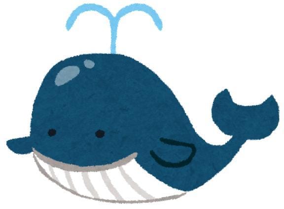 香椎 はな