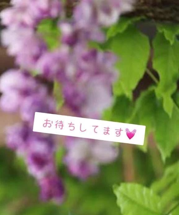 「16日来ます」05/12(火) 00:16 | 大城まいの写メ
