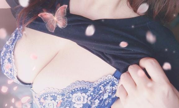 「こんにちは」05/12(火) 12:02 | 菊川の写メ