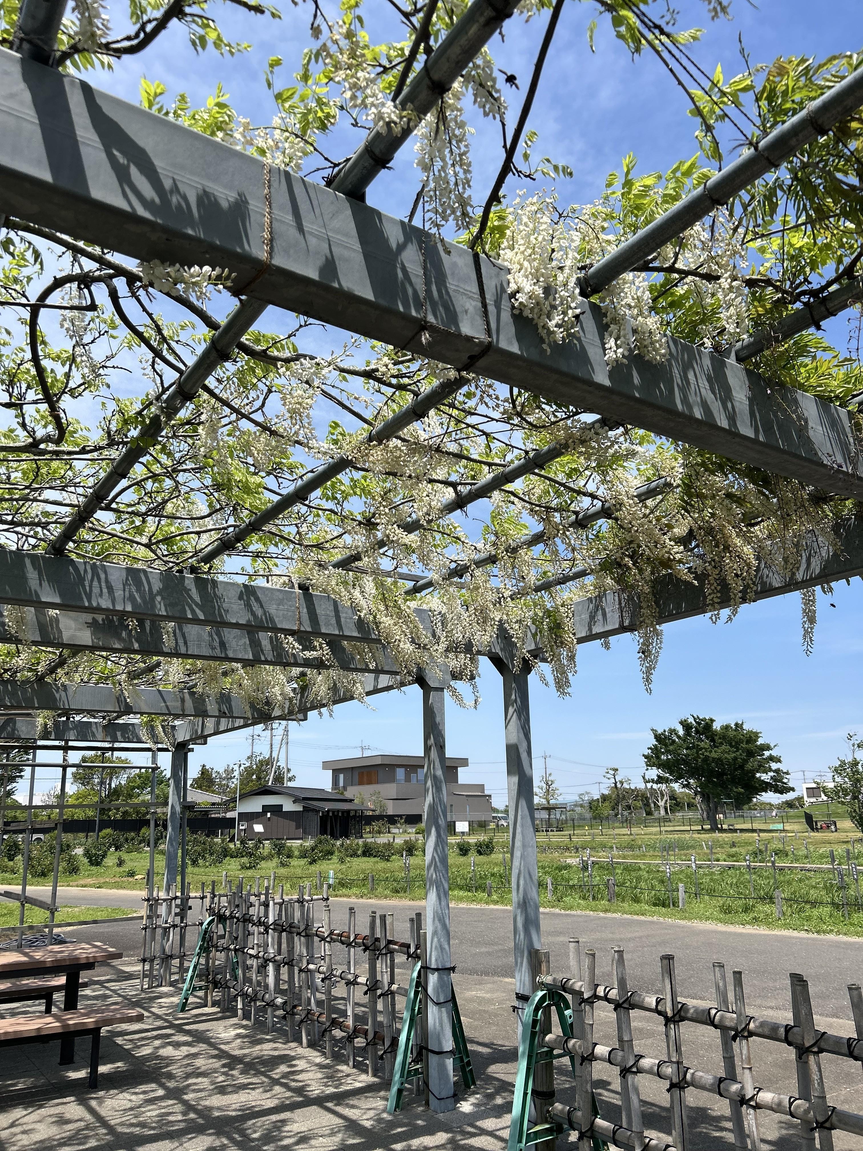「こんばんは」05/13(水) 22:56 | まいの写メ