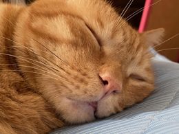 おはようございます〜