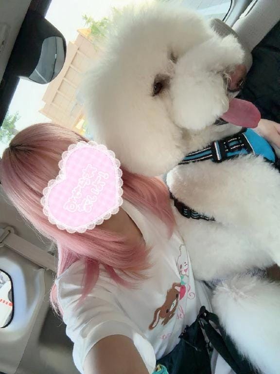 「ぬいぐるみだぁ♡」05/18(月) 20:34 | 苺　ぷりんの写メ