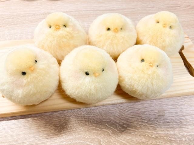 みやび「みやびは虫じゃないよ〜」05/19(火) 16:39 | みやびの写メ