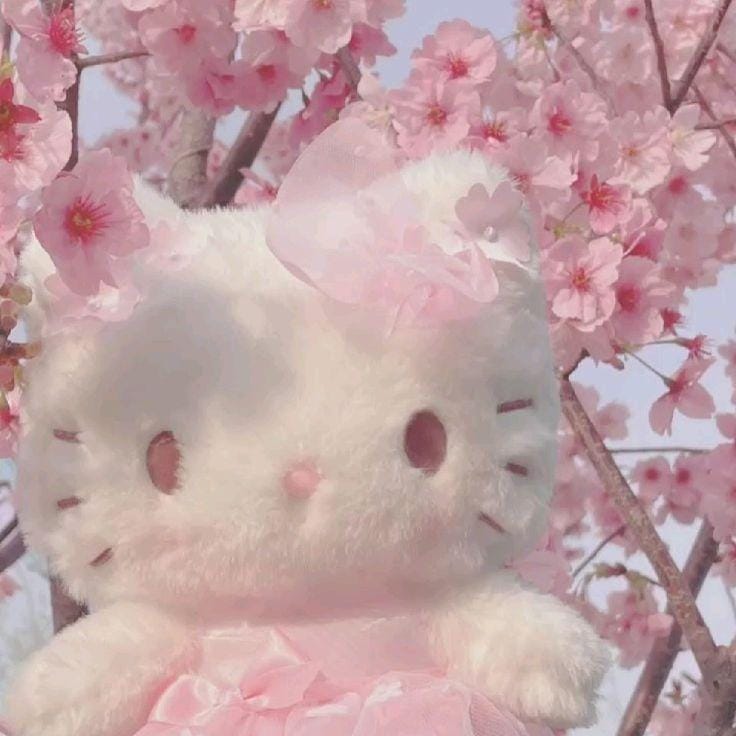 います