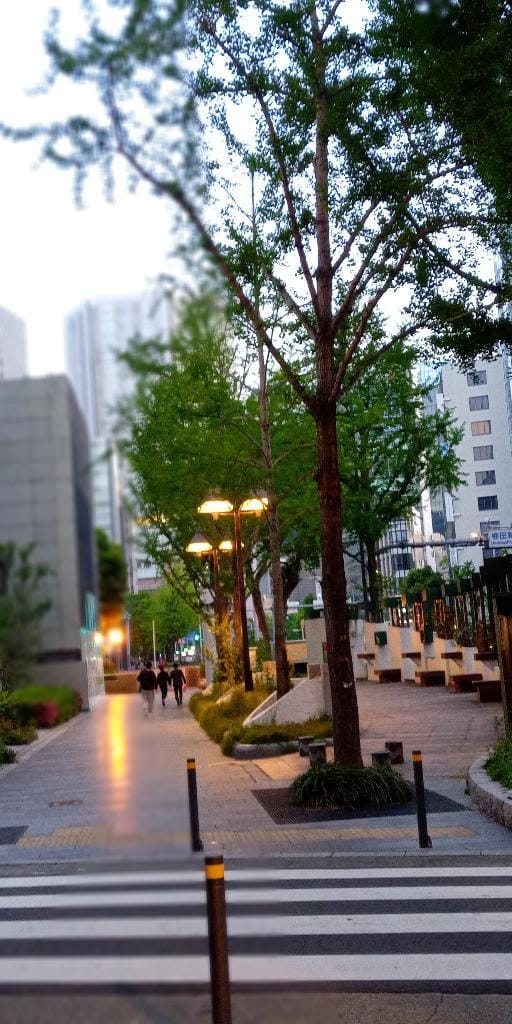 「おはようございます♪」05/21(木) 06:06 | なつほの写メ