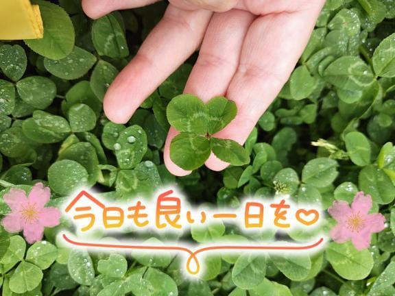 「おはよう」05/21(木) 07:39 | 桜川【さくらがわ】の写メ