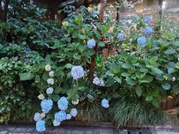 「U様へ」05/23(土) 01:50 | 佐川 由美子の写メ