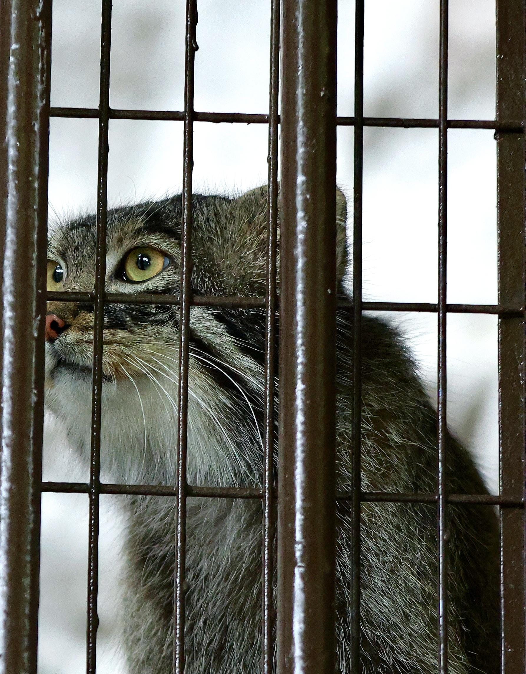 「」05/31(日) 21:17 | みくの写メ日記